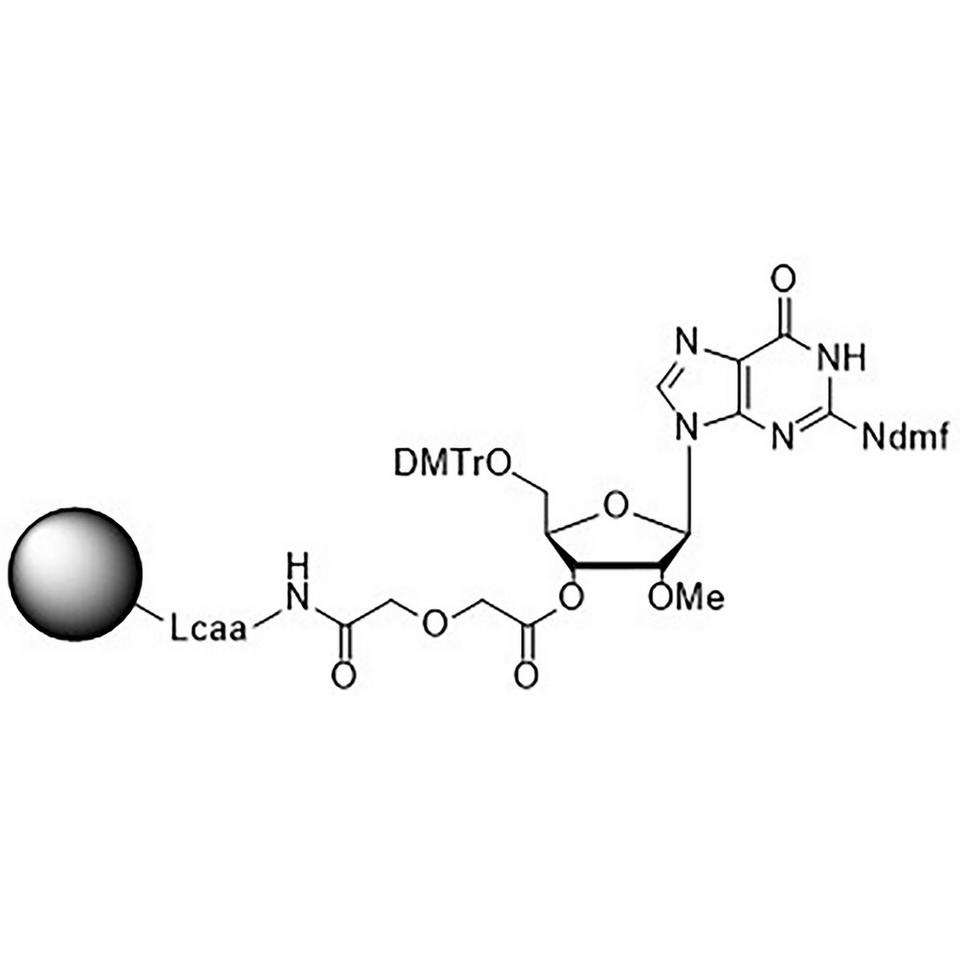 5'-DMT-2'-Methyl-G (dmf) Glycolate CPG, 1000 Å, Standard Loading, 1 g